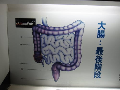 彰化景點『彰濱秀傳健康園區』 醫學博物館免費參觀 - 第29張圖 彰化景點『彰濱秀傳健康園區』 醫學博物館免費參觀