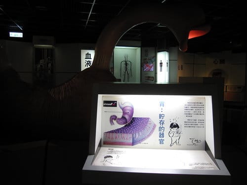 彰化景點『彰濱秀傳健康園區』 醫學博物館免費參觀 - 第31張圖 彰化景點『彰濱秀傳健康園區』 醫學博物館免費參觀