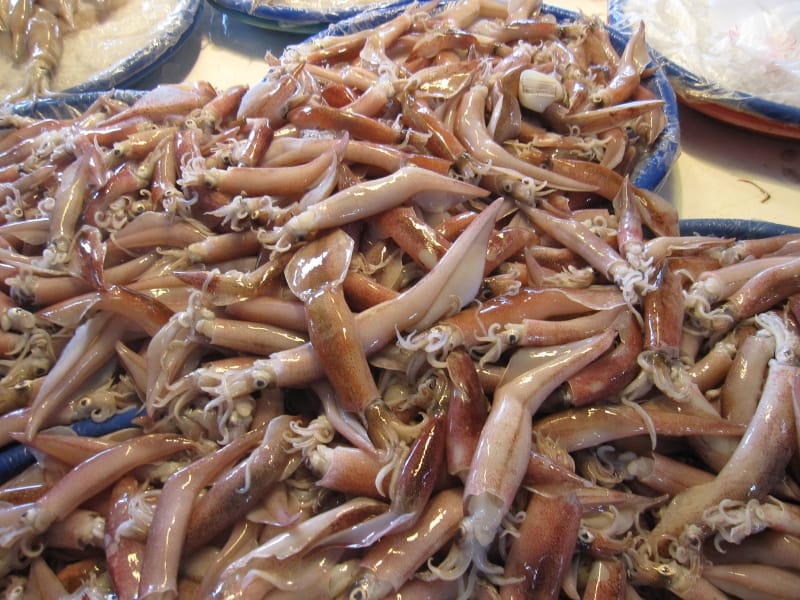 2013梧棲小卷季 (12).JPG