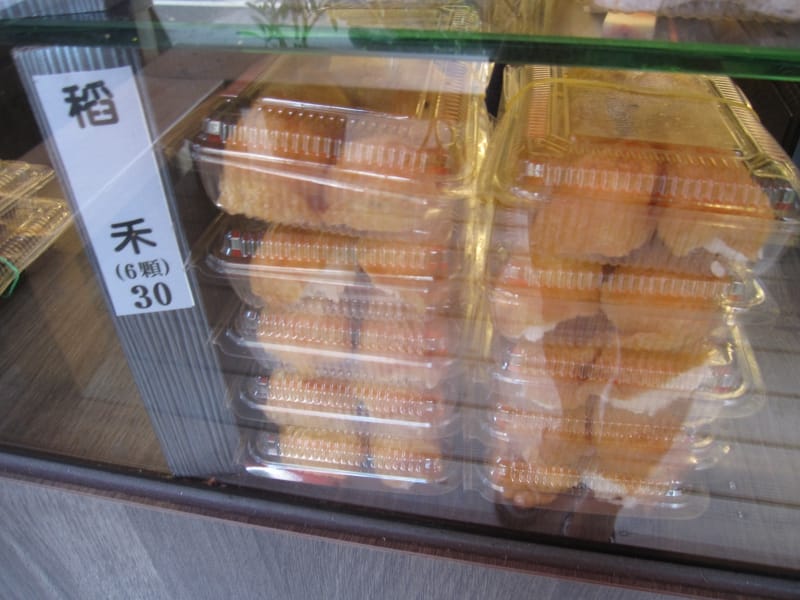 稻禾30.JPG