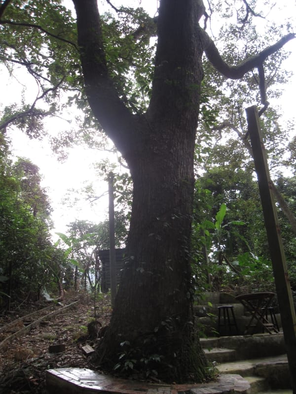 懷舊真景礦區 (4).JPG 懷舊真景礦區 (4).JPG