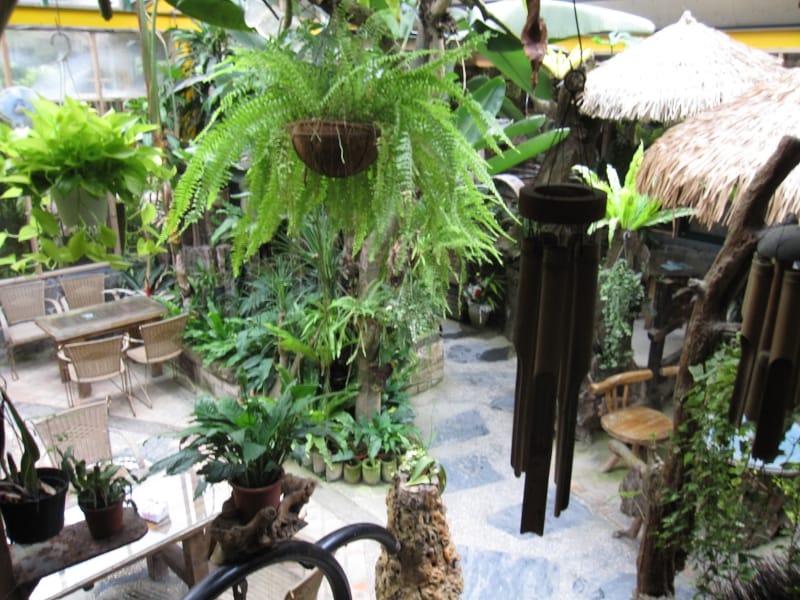 綠景咖啡屋 (14).JPG 綠景咖啡屋 (14).JPG