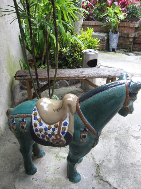 小馬.JPG 小馬.JPG