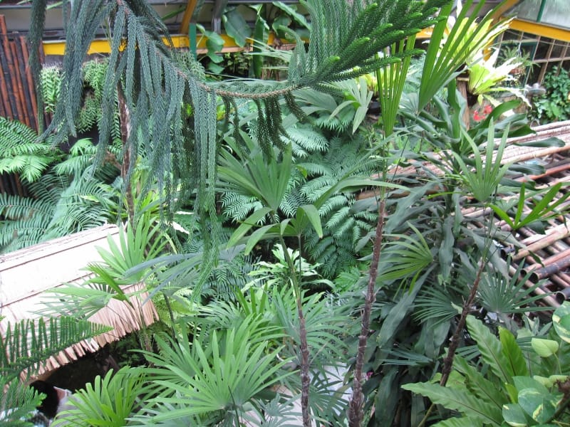 綠景咖啡屋 (13).JPG 綠景咖啡屋 (13).JPG