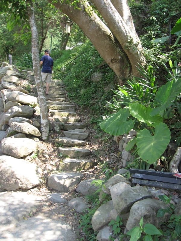 廁所二往C區營位步道.JPG