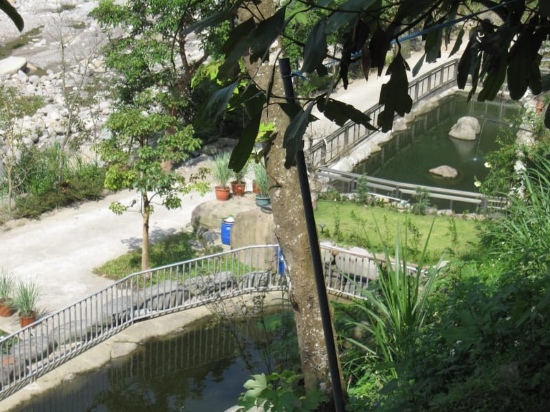 養魚池.JPG