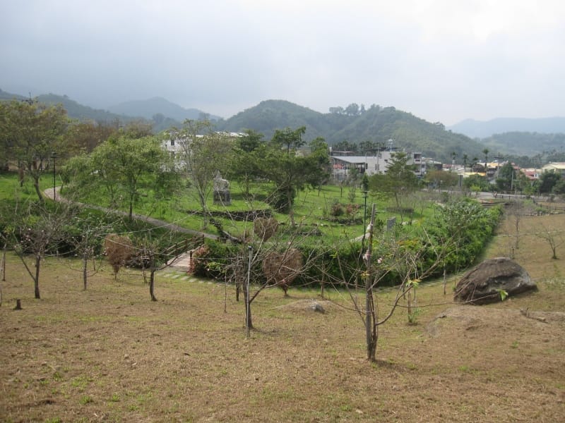馬石公園賞河津櫻 (17).JPG