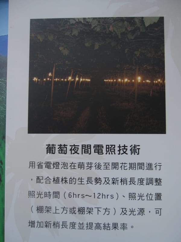 台中區農業改良館 (11).JPG 台中區農業改良館 (11).JPG