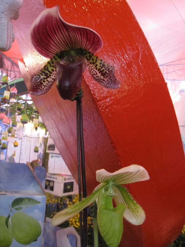 彰化優鮮館 (19).JPG 彰化優鮮館 (19).JPG