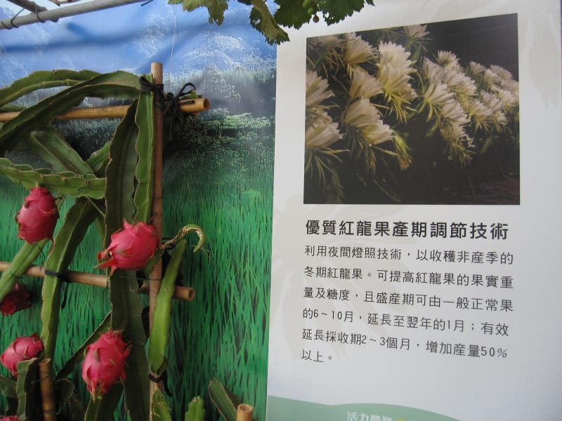 台中區農業改良館 (12).JPG