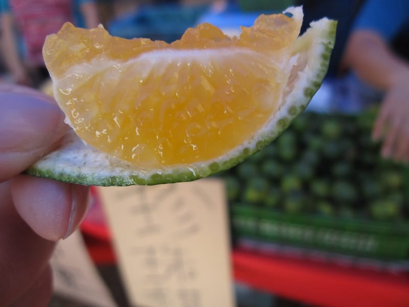 珍珠柑-甜的.JPG 珍珠柑-甜的.JPG