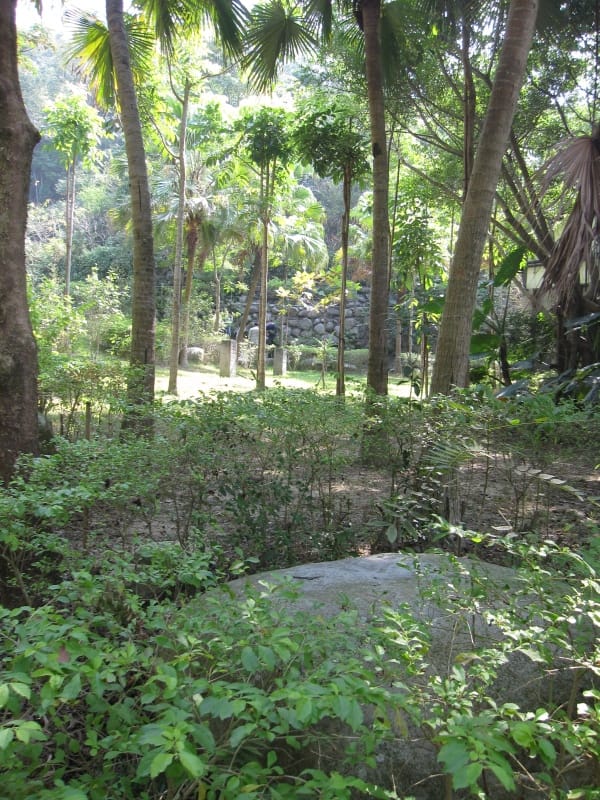 靜心打坐區 (1).JPG 靜心打坐區 (1).JPG