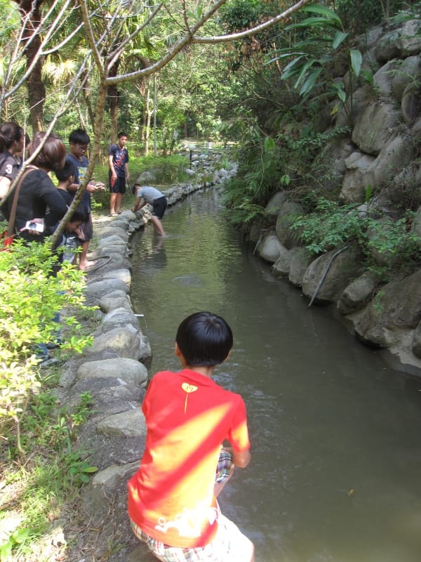 抓魚區.JPG 抓魚區.JPG