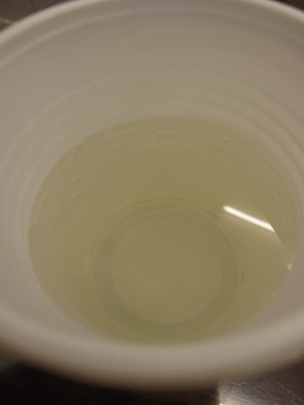免費蜂蜜水.JPG 免費蜂蜜水.JPG