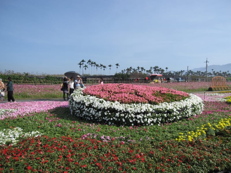 花漾桐語.JPG