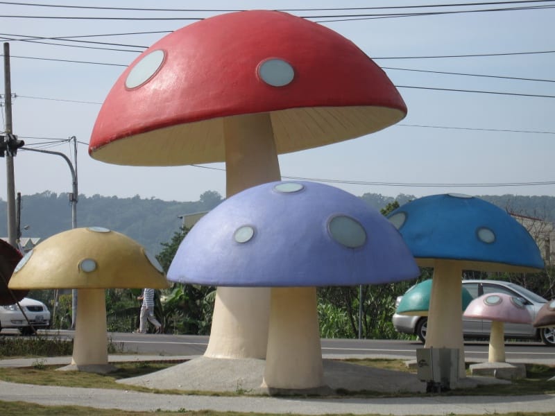香菇地標.JPG 香菇地標.JPG