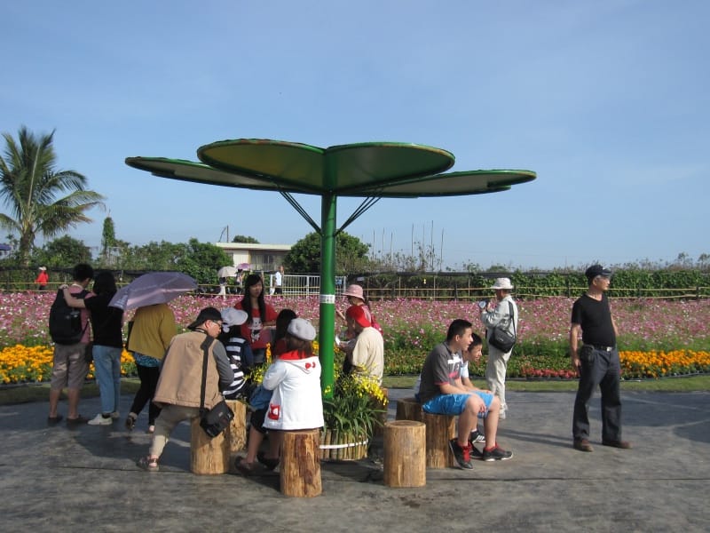 幸運草休息區.JPG