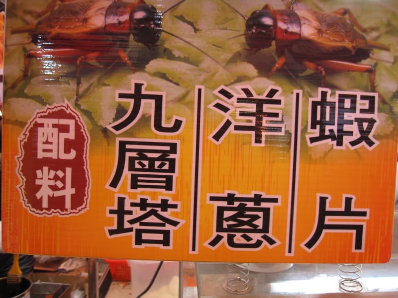 炸蟋蟀50元份 (4).JPG 炸蟋蟀50元份 (4).JPG