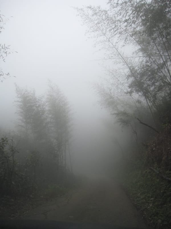 下山的路-大霧.JPG