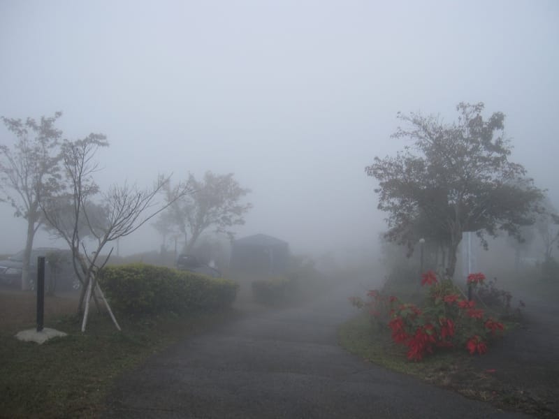 12.29一整天濃霧 (3).JPG