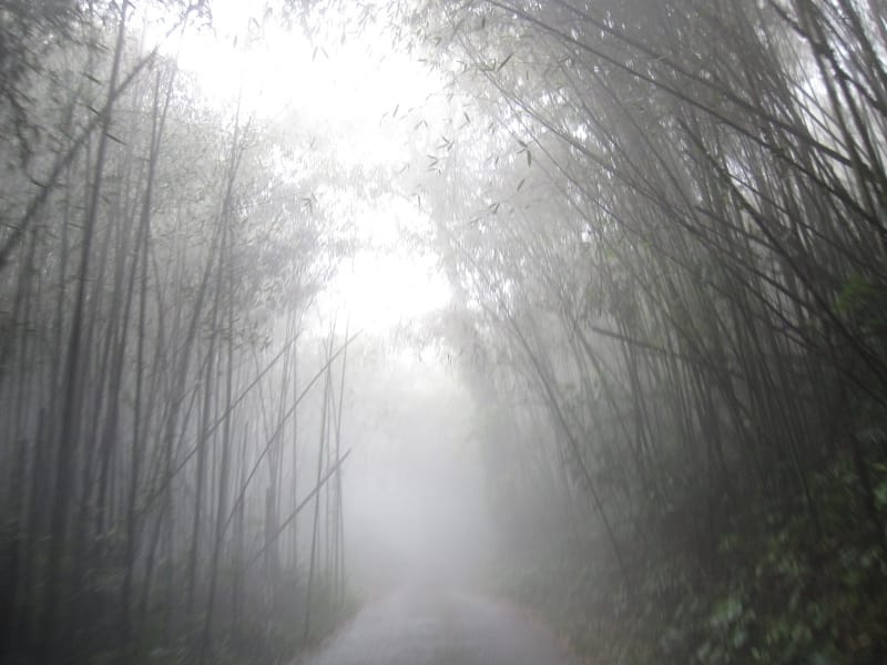 下山的路-大霧 (2).JPG