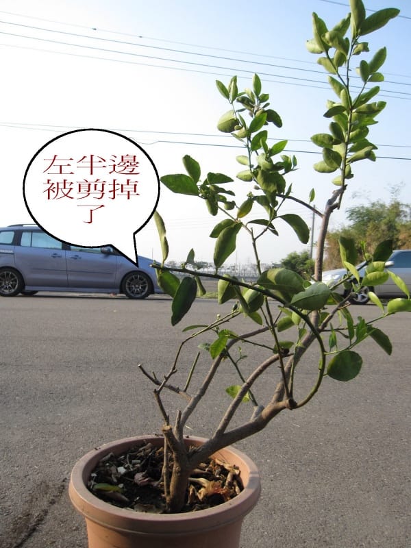 惡鄰居 (1).jpg 惡鄰居 (1).jpg
