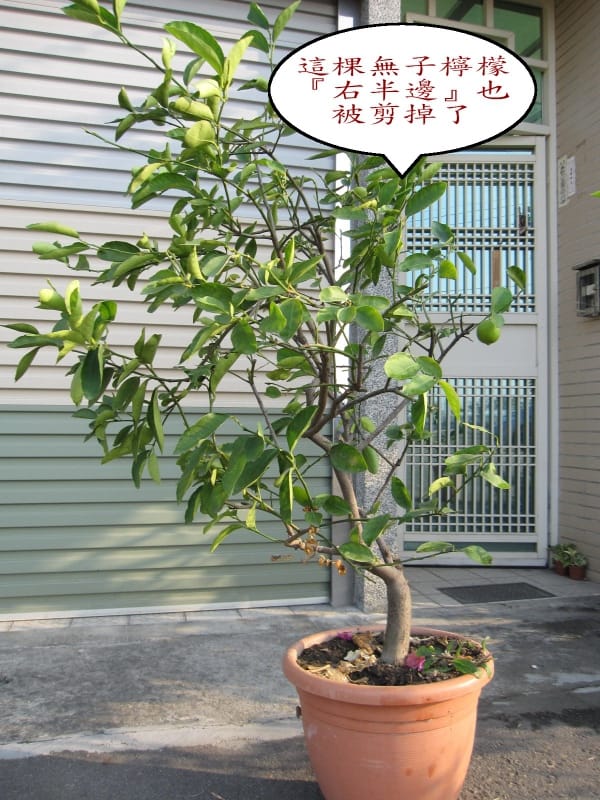 惡鄰居 (5).jpg 惡鄰居 (5).jpg