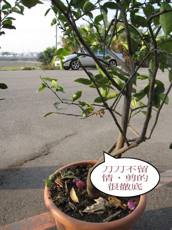 惡鄰居 (7).jpg 惡鄰居 (7).jpg