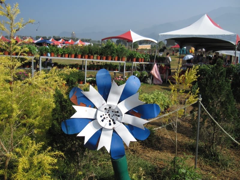 2013南投花卉嘉年華 (5).JPG 2013南投花卉嘉年華 (5).JPG