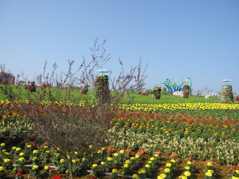 2013南投花卉嘉年華 (29).JPG 2013南投花卉嘉年華 (29).JPG