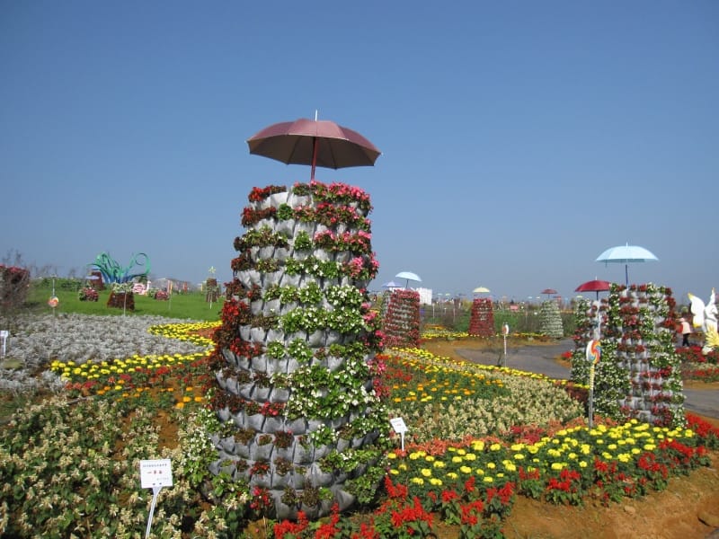 2013南投花卉嘉年華 (26).JPG 2013南投花卉嘉年華 (26).JPG