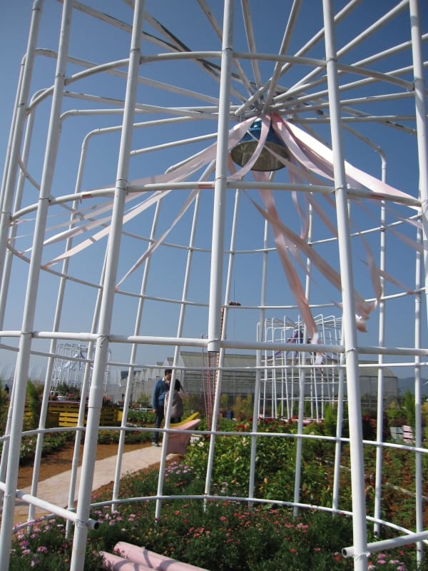 2013南投花卉嘉年華 (47).JPG 2013南投花卉嘉年華 (47).JPG