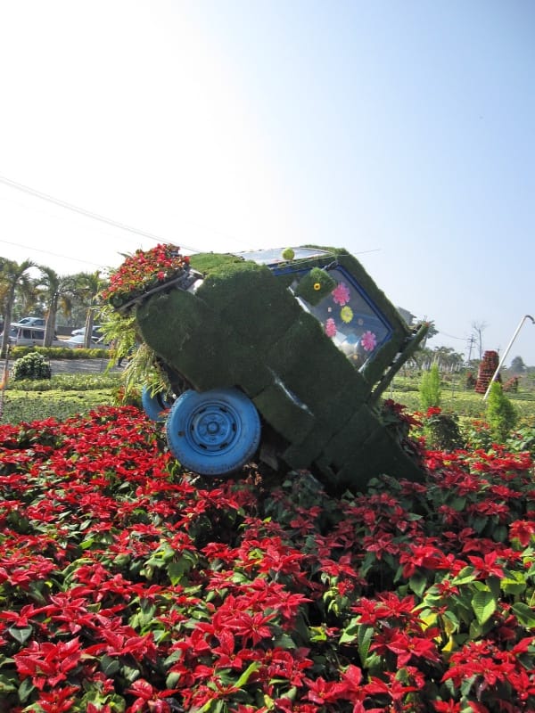 2013南投花卉嘉年華 (6).jpg 2013南投花卉嘉年華 (6).jpg