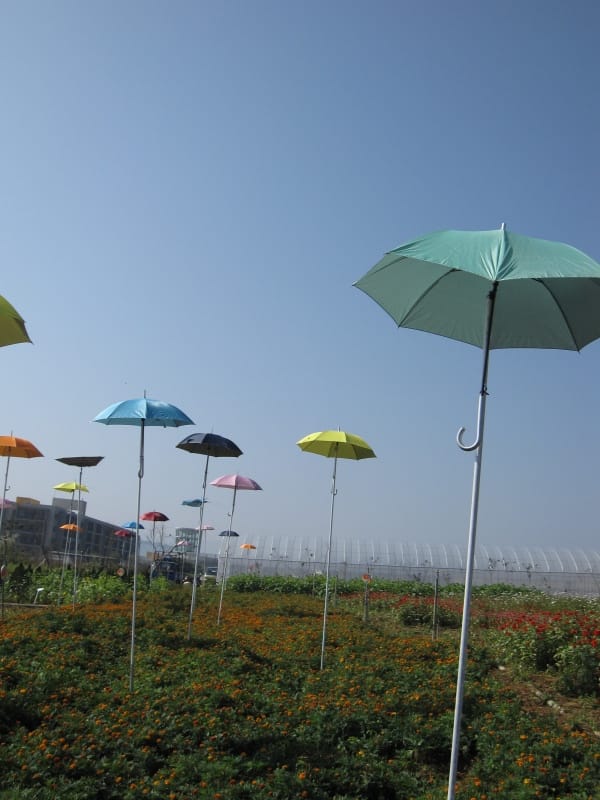 2013南投花卉嘉年華 (43).JPG 2013南投花卉嘉年華 (43).JPG