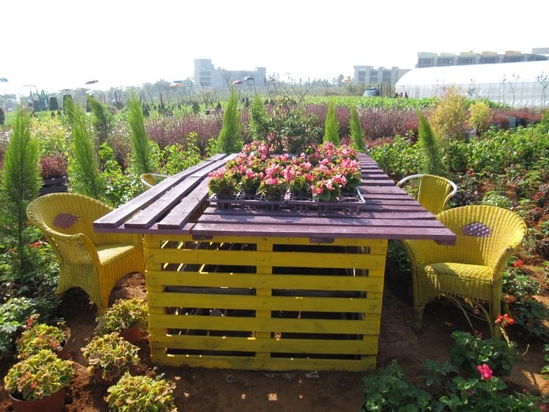 2013南投花卉嘉年華 (50).JPG 2013南投花卉嘉年華 (50).JPG