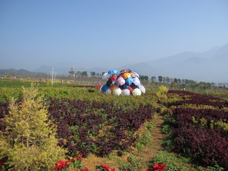 2013南投花卉嘉年華 (54).JPG 2013南投花卉嘉年華 (54).JPG