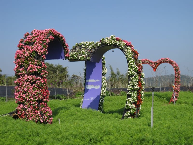 2013南投花卉嘉年華 (68).JPG 2013南投花卉嘉年華 (68).JPG