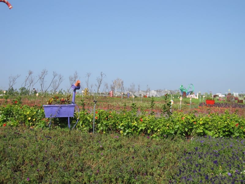 2013南投花卉嘉年華 (8).JPG 2013南投花卉嘉年華 (8).JPG