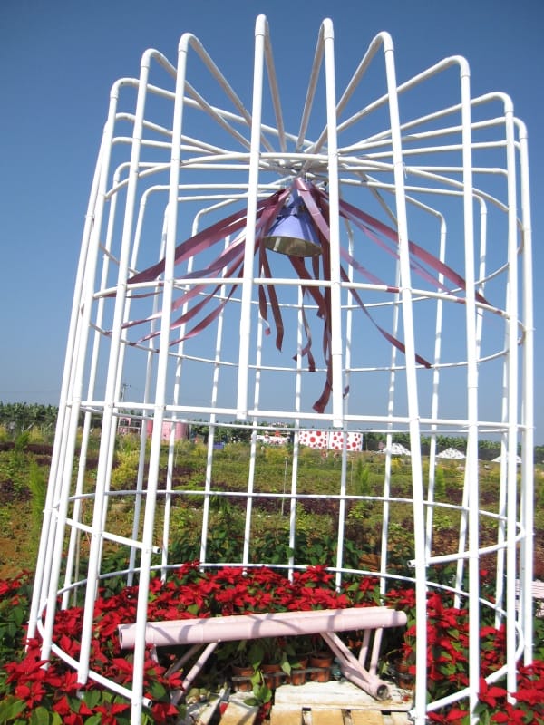 2013南投花卉嘉年華 (51).JPG 2013南投花卉嘉年華 (51).JPG