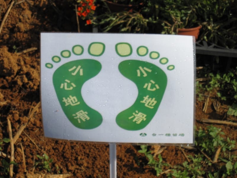 2013南投花卉嘉年華 (53).JPG 2013南投花卉嘉年華 (53).JPG