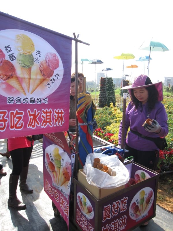 2013南投花卉嘉年華 (44).JPG 2013南投花卉嘉年華 (44).JPG
