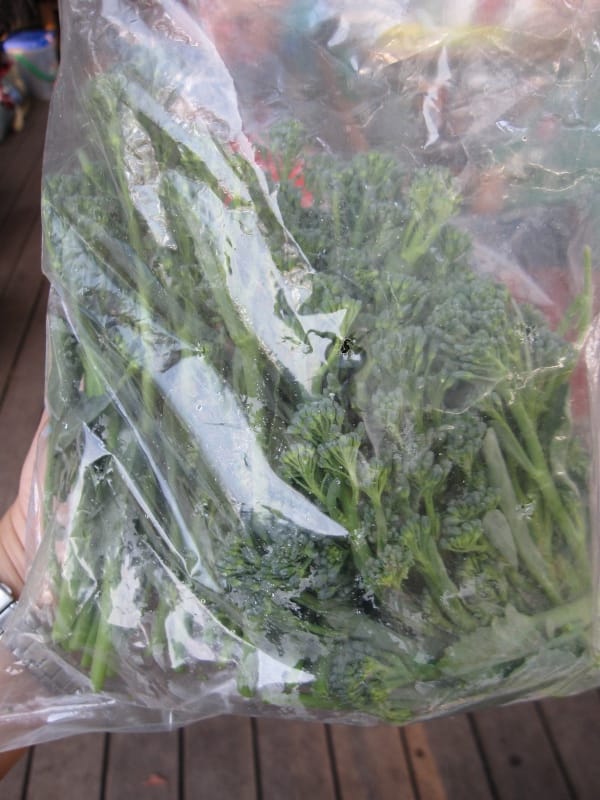 蘆筍青花菜 (1).JPG