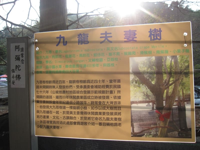 十二寮大埤周邊景點.JPG