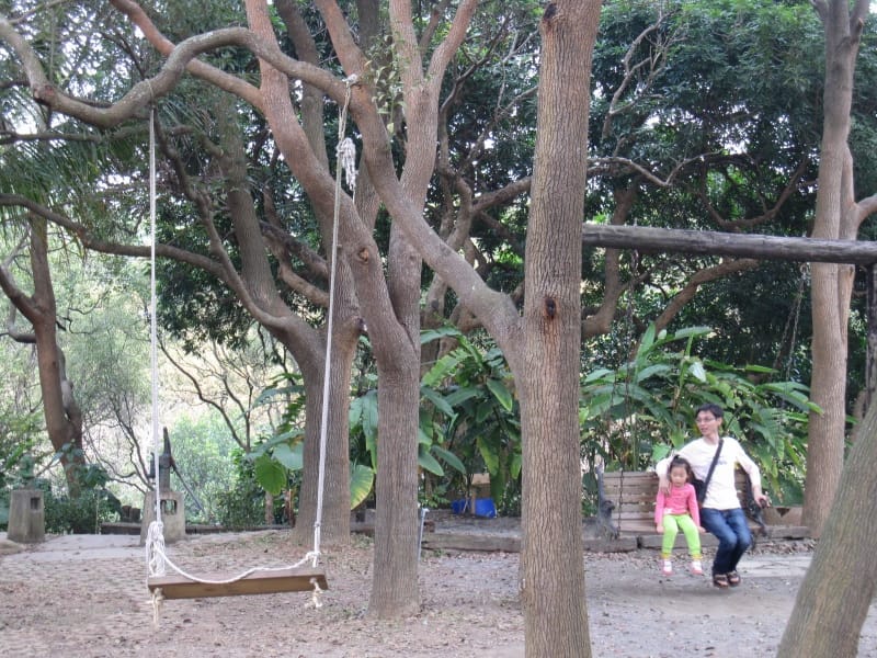 t (33).JPG