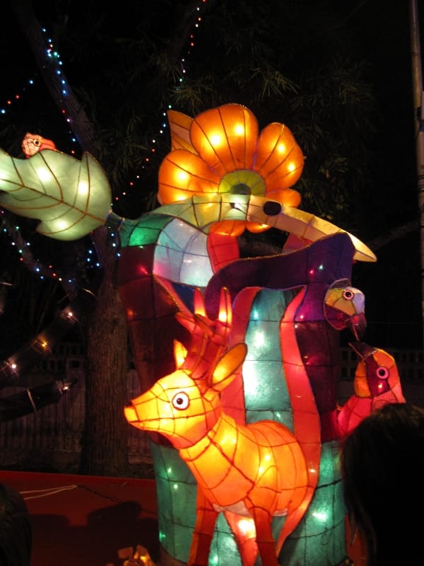 IMG_4049.JPG