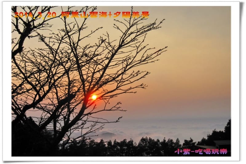 2014.3月20阿里山雲海+夕陽 (45).jpg