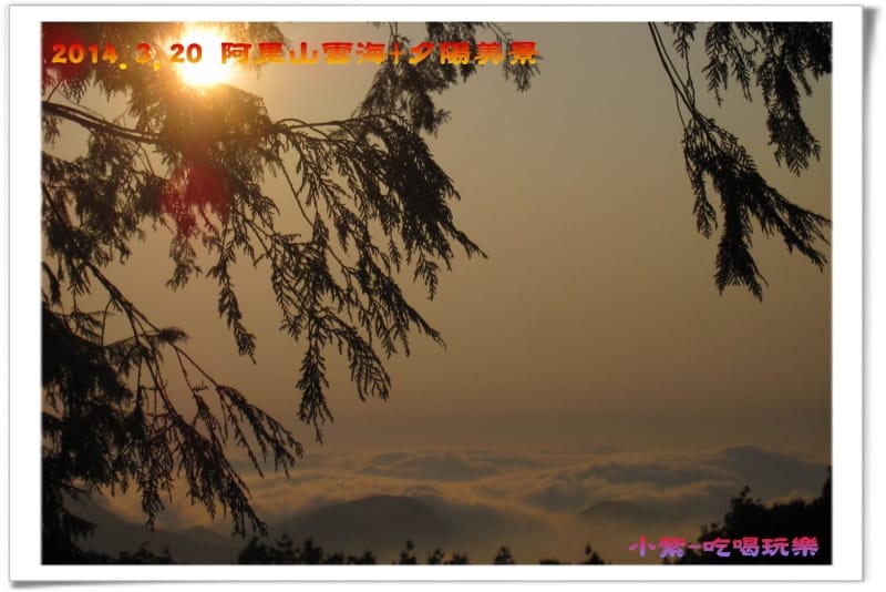 2014.3月20阿里山雲海+夕陽 (56).jpg
