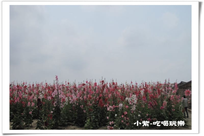 學甲-光華社區 (2).jpg