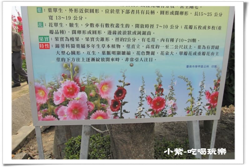 學甲-光華社區 (36).jpg