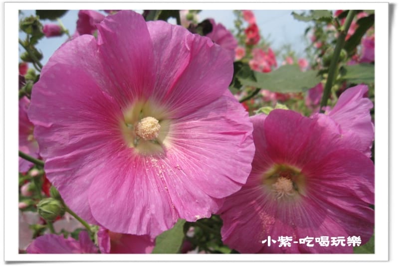 學甲-光華社區 (11).jpg